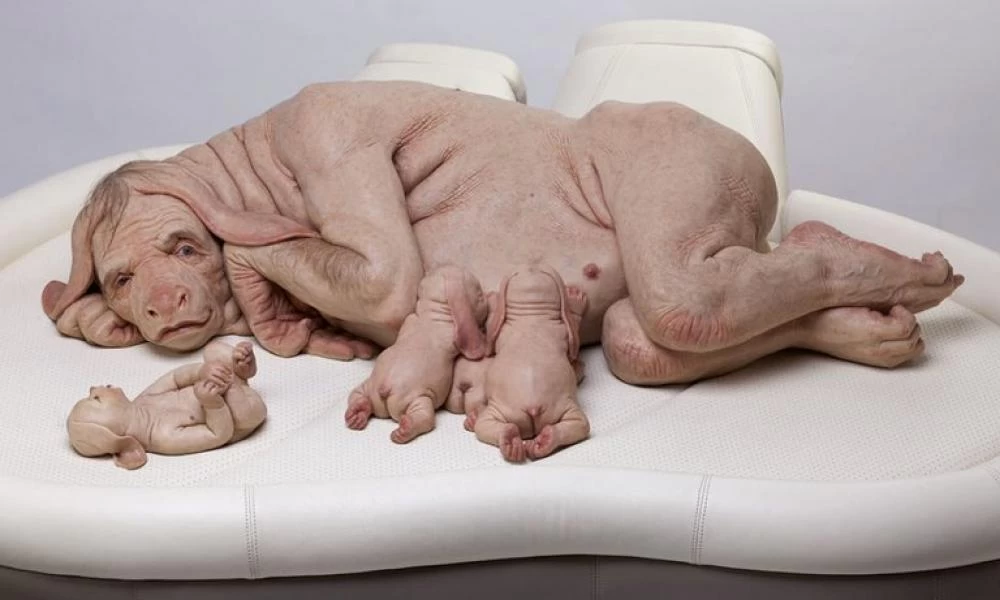 Πειράματα σύνθεσης ανθρώπινων και ζωικών κυττάρων στις Ηνωμένες Πολιτείες;